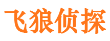 龙潭市调查公司